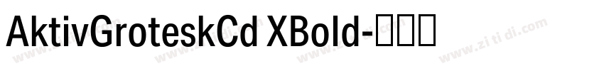 AktivGroteskCd XBold字体转换